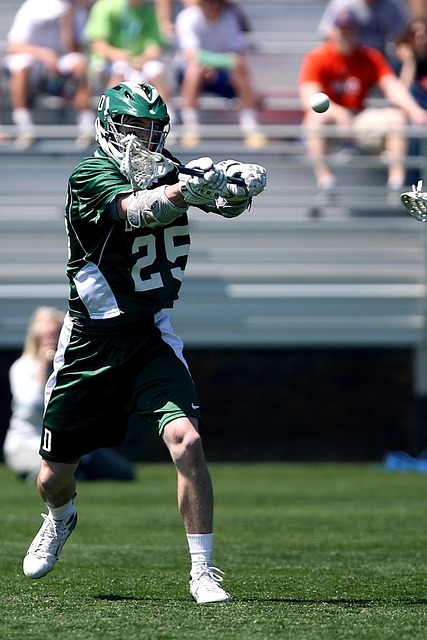 索新的营销 索新的营销