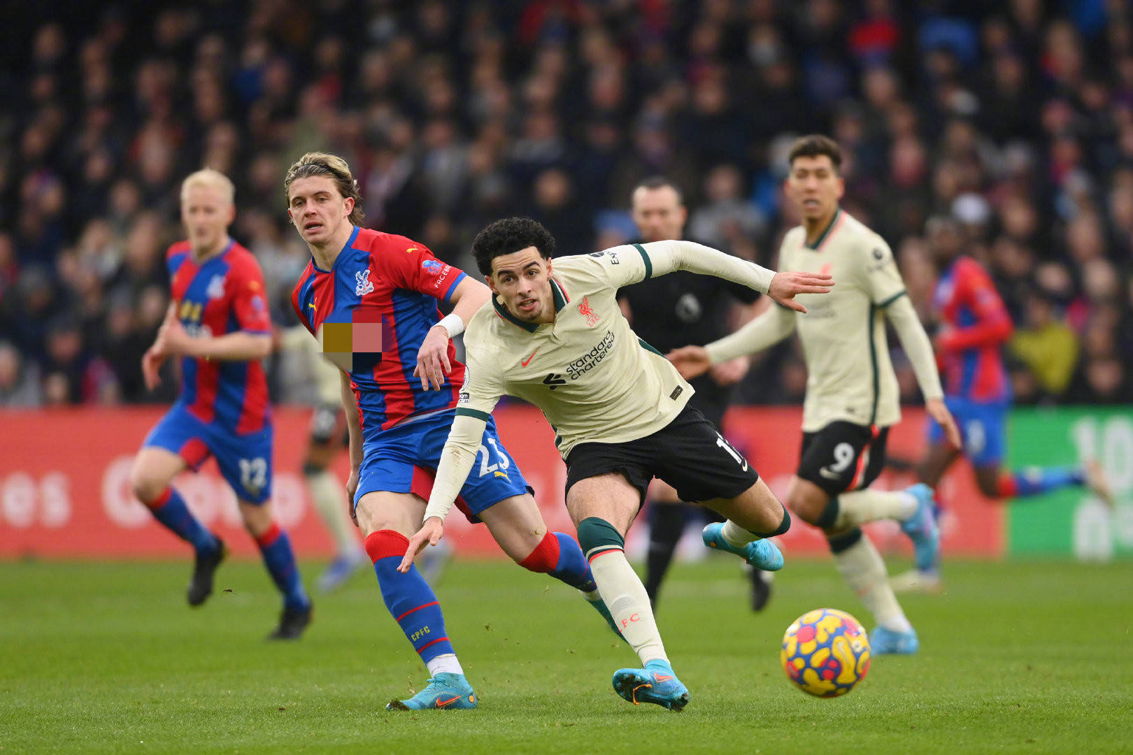 近日一则韩 近日一则韩